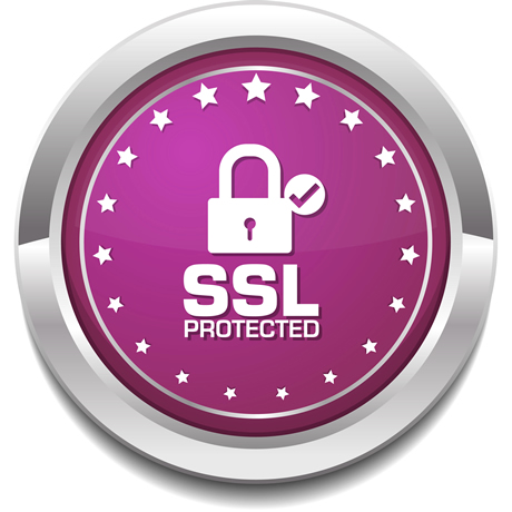 Single Domain SSL certificate